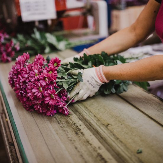 angelicavisgroot-502x