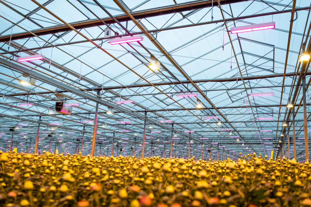 20210317-hortilux-9512-web