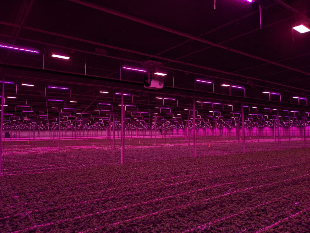 pxl_20221007_050654233